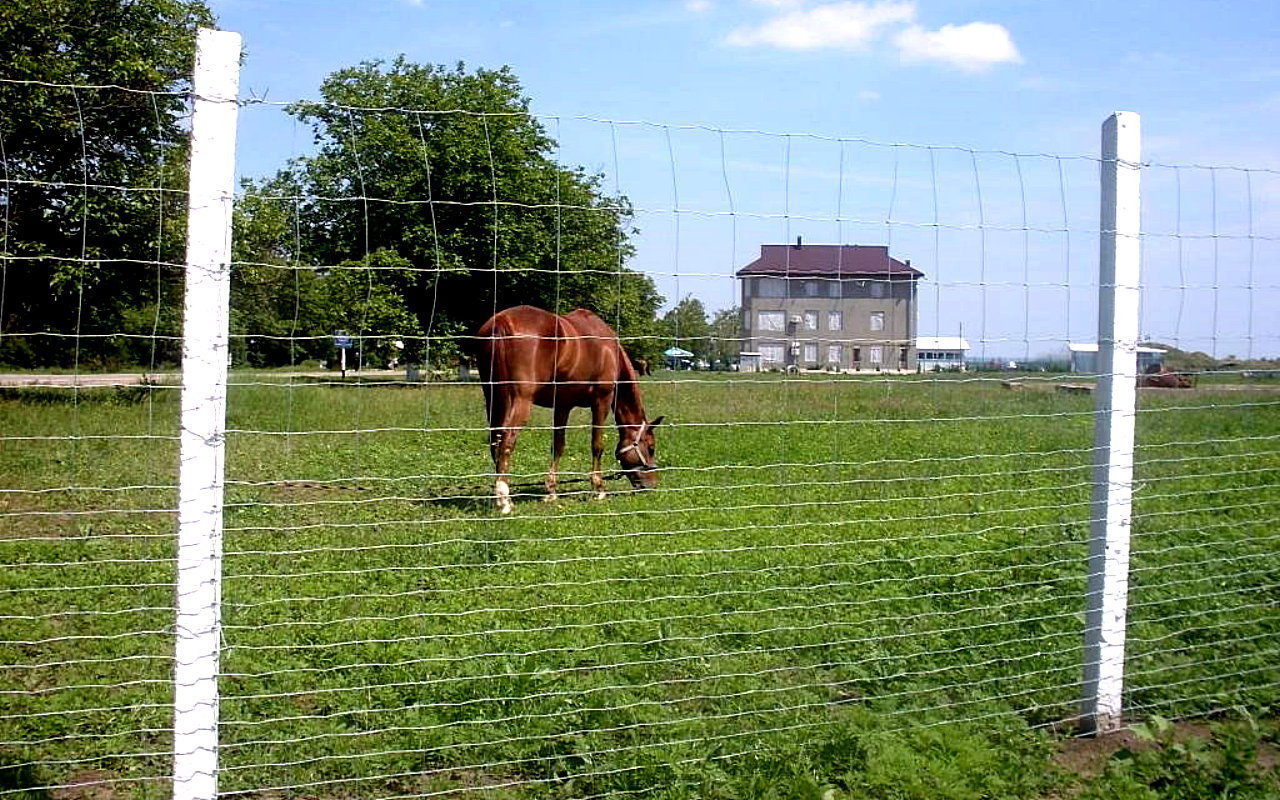 Image00013