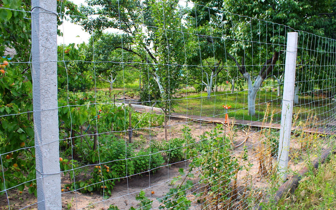 Image00046